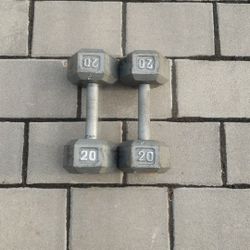 20LB Dumbbell Set 