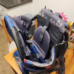 Phil And Ted's Baby Carrier Backpack