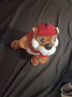 Buc-ees