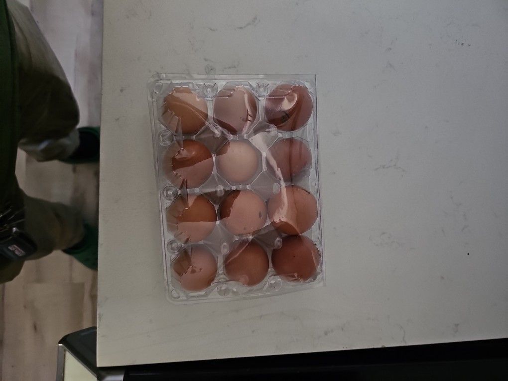 Eggs