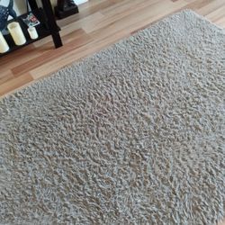Like New 4' By 6' Area Rug Neutral 
