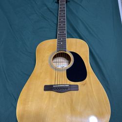 Rogue RD80 Guitar