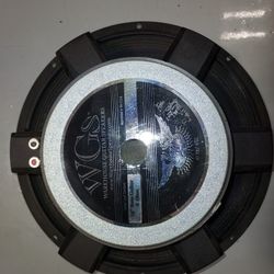 WGS Bass Guitar Speaker