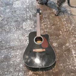 Electric Acustic Guitar