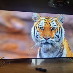 Vizio 65 inch 4K Smart Tv
