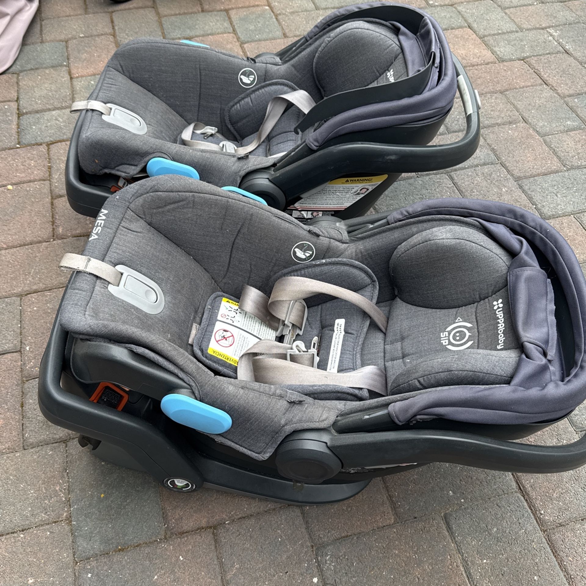 Uppababy Mesa Car Seat