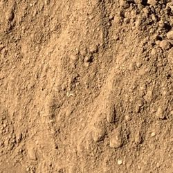 Need Dirt 