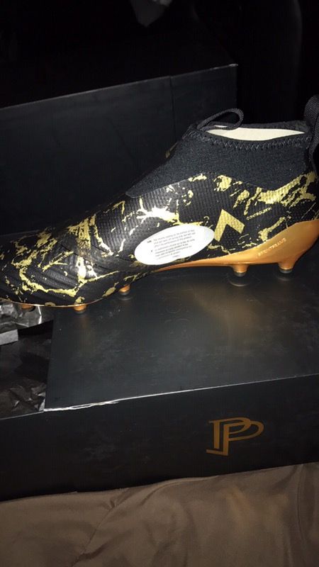 Adidas Ace 17+ PureControl Paul Pogba