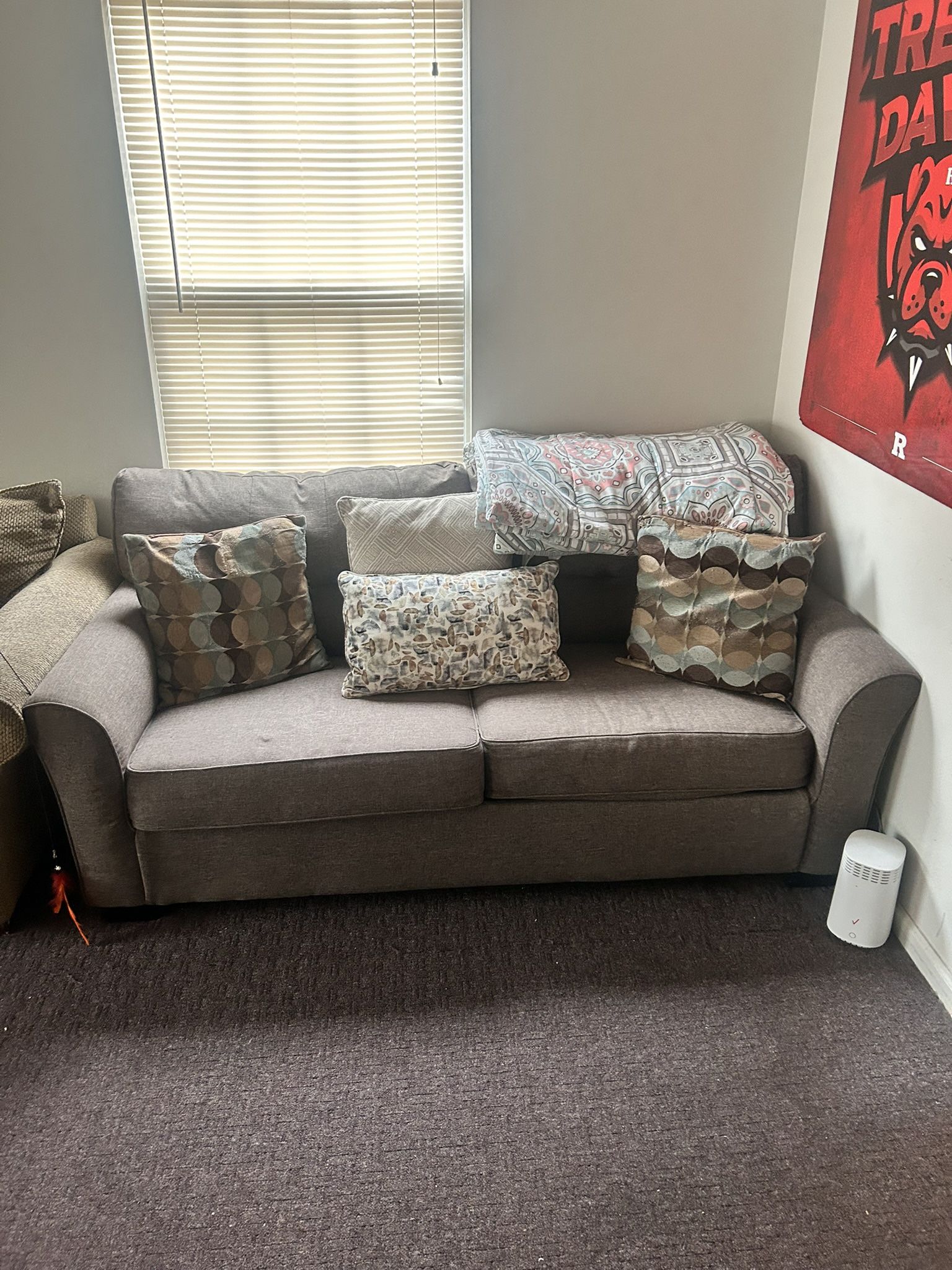 Gray 2 Seater Couch With Throw Pillows