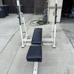 Nautilus Strength Bench 