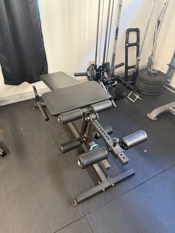 Leg curl/extension machine