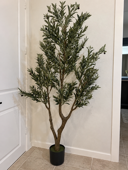 7 ft Artificial Olive Tree - Double Trunk
