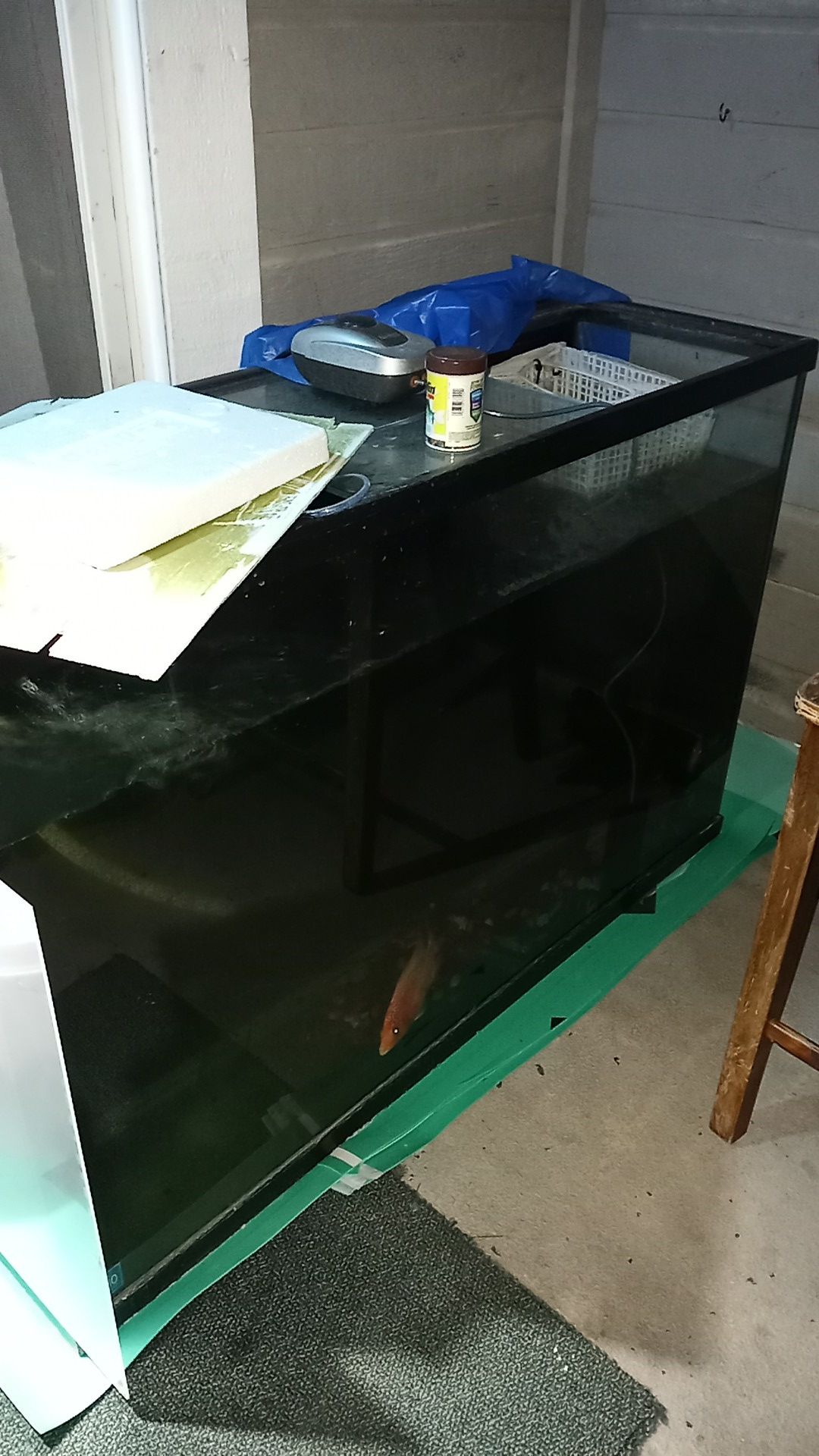 Fish tank for sell 100g