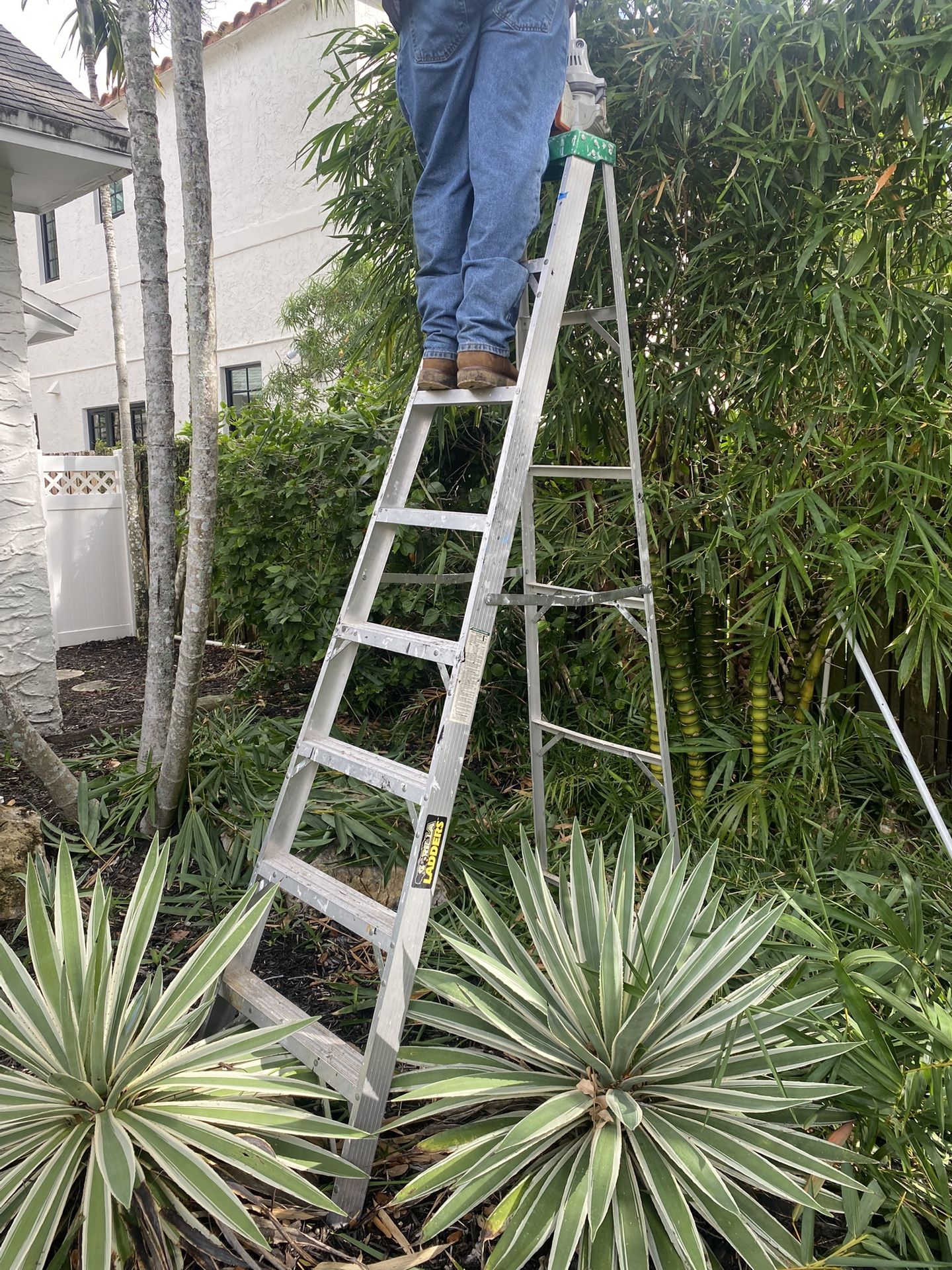 8ft Ladder