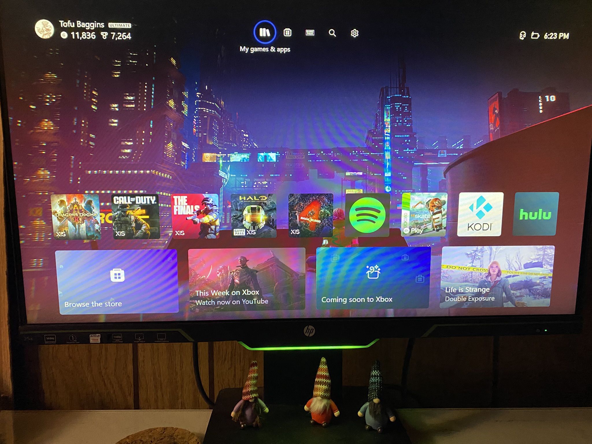 HP Monitor