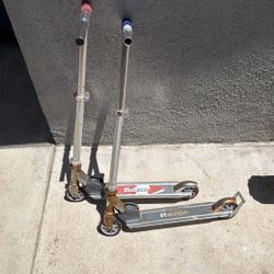 Free Kids Scooter