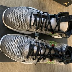 Lebron Shoes