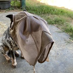 Fly Masks 