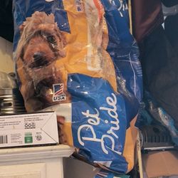 Looking For Dog Food Donations- Help Needed Please!