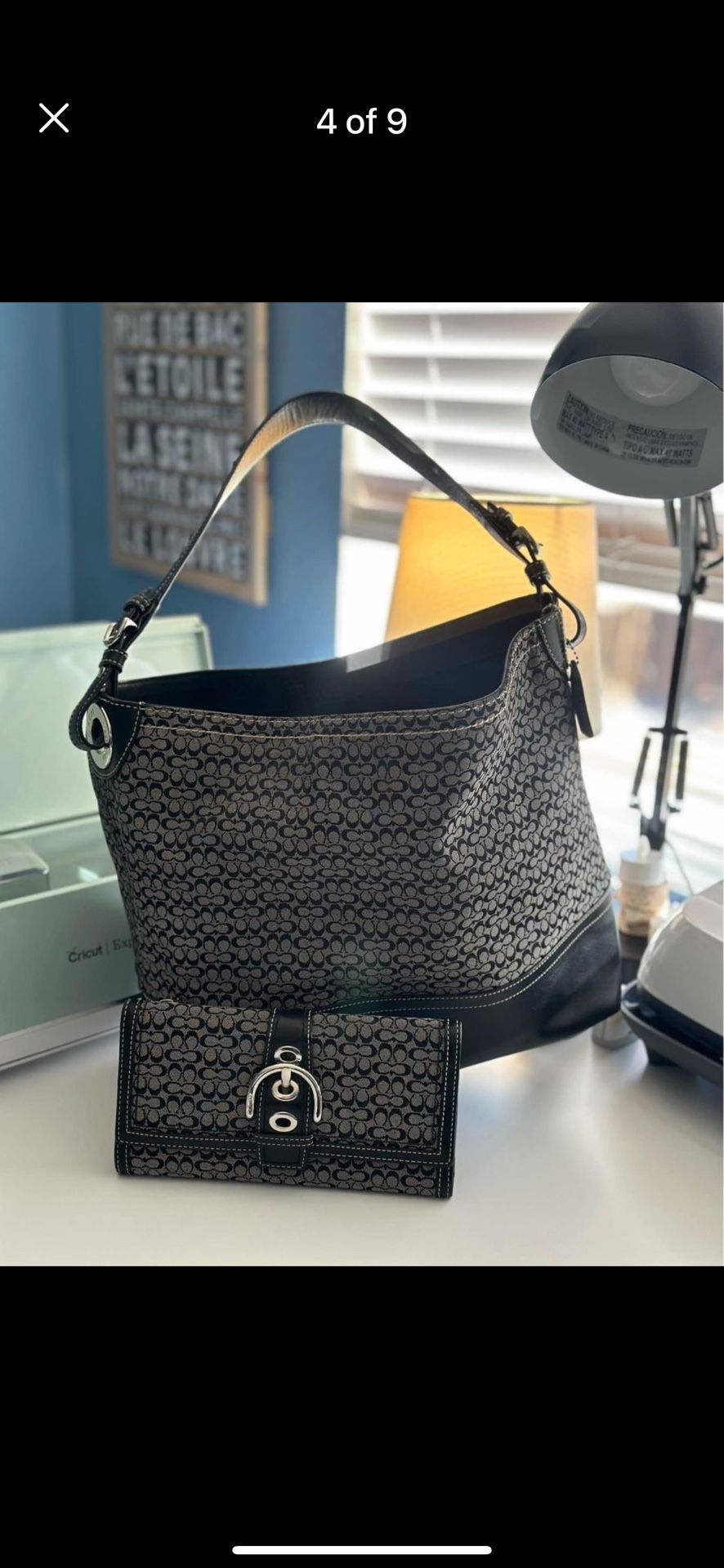 Coach Wallet & Handbag