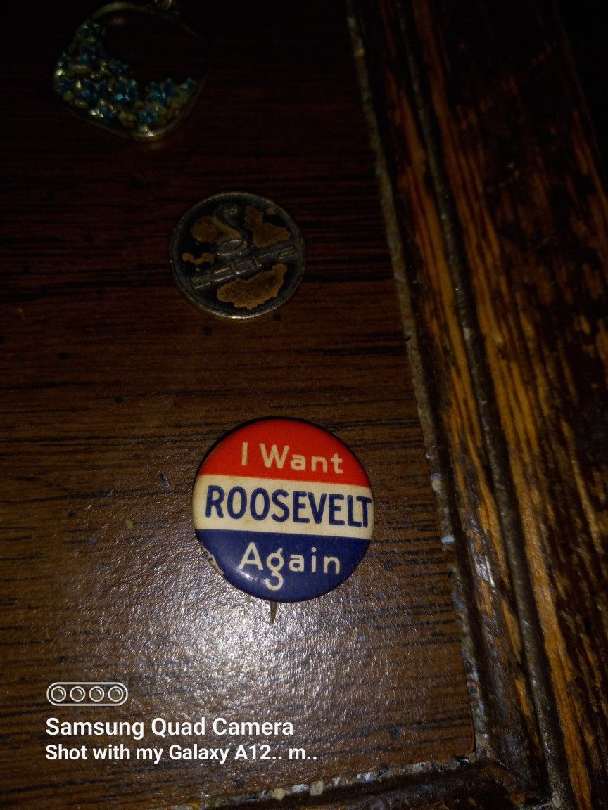 I Want Roosevelt Again Pin