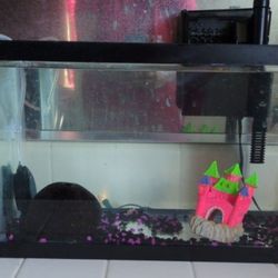 Small aquarium
