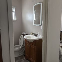 Mirror Medicine Cabinet 