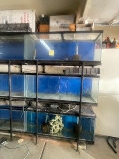 Fish Tank
