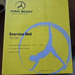 Exercise Ball 