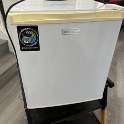 Mini Fridge 