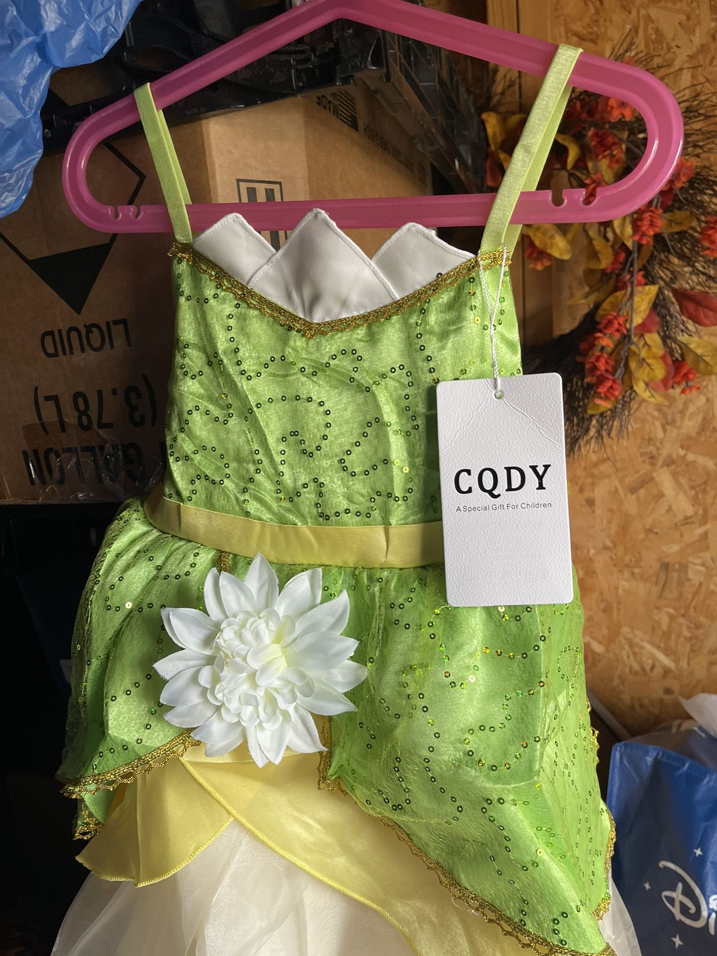 Princess Tiana assorted sizes three youth five youth and six youth