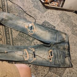 Denim Jeans 