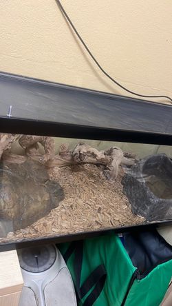 Snake tank