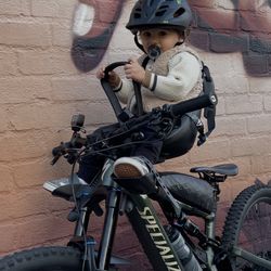 Thule Yepp Nexxt Mini Bike Seat