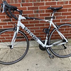 Tommaso Imola Endurance Aluminum Road Bike 