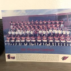 1991 ARIZONA CARDINALS TEAM PICTURE 