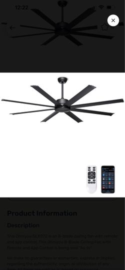 Black ceiling fan