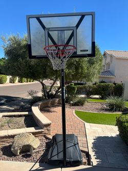 Lifetime basketball hook