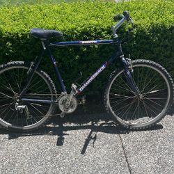 Dimondback Adult Bike