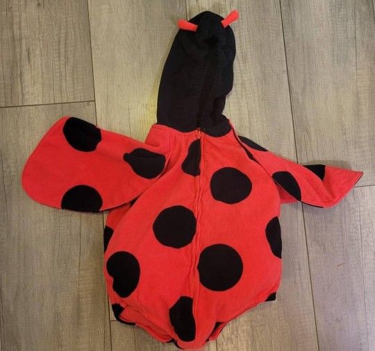 Carter’s Ladybug Baby/Toddler Halloween Costume

