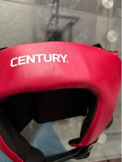 Boxing head gear