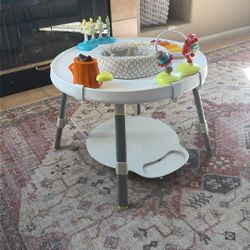 Skip Hop Activity Toy