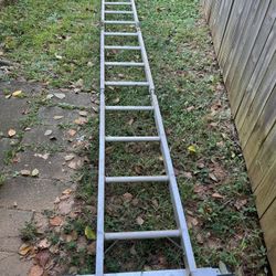 Ladder Foldable 