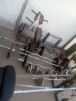 Gym........weights....curlbars....
