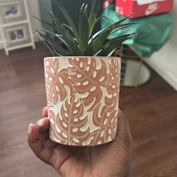 Faux Boho Plant