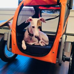 Small Dog Bicycle Trailer 