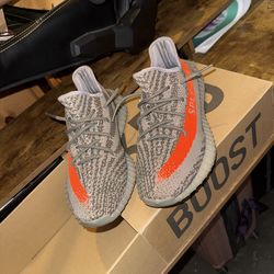 beluga non felective size 10