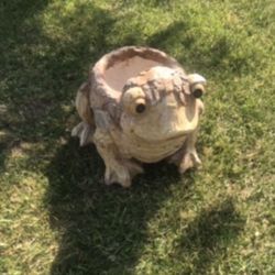 New Flower Pots Made Out Of Resin Perfect Gift 💝 