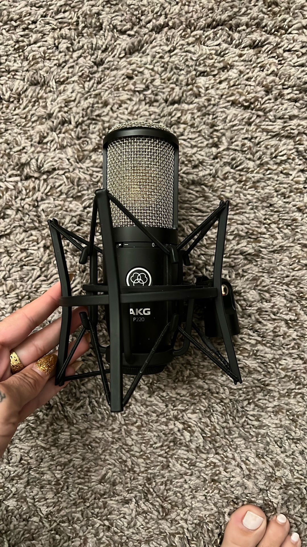 AKG P220 Mic
