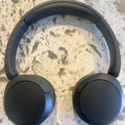 Sony WH-CH520 Headphones (Still New)